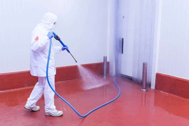 Best Roof Washing  in Hemet, CA